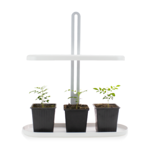 Productfoto met planten