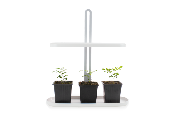 Productfoto met planten